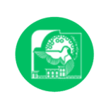 Untitled design - 2025-11-10T115803.446